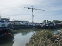 NL, Noord-Brabant, Altena, Biesboschhaven 4, Saxifraga-Annemiek Bouwman