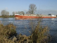 NL, Noord-Brabant, Boxmeer, Maas 12, Saxifraga-Jan van der Straaten