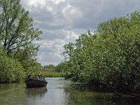 NL, Noord-Brabant, Drimmelen, Gat van de Plomp 15, Saxifraga-Jan van der Straaten