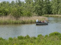 NL, Noord-Brabant, Drimmelen, Keesjes Jan Killeke 21, Saxifraga-Jan van der Straaten