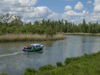 NL, Noord-Brabant, Drimmelen, Keesjes Jan Killeke 23, Saxifraga-Jan van der Straaten