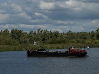 NL, Noord-Brabant, Drimmelen, Spijkerboor 15, Saxifraga-Jan van der Straaten