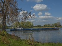 NL, Noord-Brabant, Lith, Maas 4, Saxifraga-Jan van der Straaten