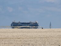 NL, Noord-Holland, Texel 81, Saxifraga-Foto Fitis-Sytske Dijksen