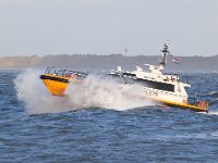 NL, Noord-Holland, Velsen, Zuidpier 9, Saxifraga-Bart Vastenhouw