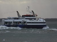 NL, Zeeland, Vlissingen, Westerschelde 1, Saxifraga-Peter Meininger