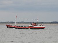 NL, Zuid-Holland, 's Gravenhage, Meijendel 1, Saxifraga-Norman Deans van Swelm