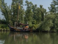 NL, Zuid-Holland, Dordrecht, Doode Kikvorschkil 8, Saxifraga-Jan van der Straaten