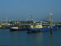 NL, Zuid-Holland, Goeree-Overflakkee, Ouddorp 12, Saxifraga-Jan van der Straaten