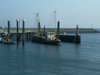 NL, Zuid-Holland, Goeree-Overflakkee, Ouddorp 13, Saxifraga-Jan van der Straaten