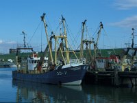 NL, Zuid-Holland, Goeree-Overflakkee, Stellendam 7, Saxifraga-Jan van der Straaten