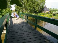 NL, Friesland, Noardeast-Fryslan, Barthlehiem 1, Saxifraga-Foto Fitis-Sytske Dijksen