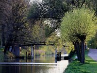 NL, Noord-Brabant, Helmond, Eindhovens Kanaal 2, Saxifraga-Foto Fitis-Sytske Dijksen