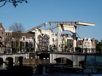 NL, Noord-Holland, Amsterdam 6, Saxifraga-Foto Fitis-Sytske Dijksen