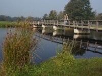 NL, Utrecht, Utrecht, Noorderpark 1, Saxifraga-Foto Fitis-Sytske Dijksen