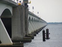 NL, Zeeland, Schouwen-Duiveland, Zeelandbrug 6, Saxifraga-Foto Fitis-Sytske Dijksen