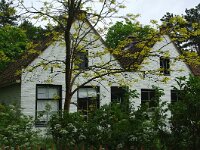 NL, Friesland, Terschelling, Doodemanskisten 1, Saxifraga-Foto Fitis-Sytske Dijksen