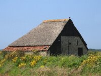 NL, Noord-Holland, Texel, Hoornderweg 1, Saxifraga-Foto Fitis-Sytske Dijksen