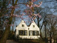 NL, Utrecht, Utrecht 4, Saxifraga-Foto Fitis-Sytske Dijksen