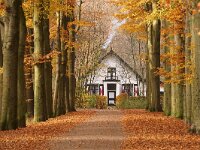 NL, Utrecht, Utrecht, Leyensebos 1, Saxifraga-Foto Fitis-Sytske Dijksen