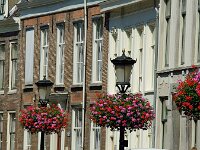 NL, Utrecht, Utrecht, Pausdam 1, Saxifraga-Foto Fitis-Sytske Dijksen