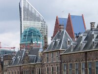 NL, Zuid-Holland, 's-Gravenhage, Hofvijver 1, Saxifraga-Foto Fitis-Sytske Dijksen