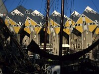 NL, Zuid-Holland, Rotterdam 56, Saxifraga-Foto Fitis-Sytske Dijksen