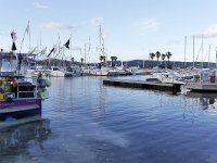 F, Var, Cavalaire-sur-Mer, Port de Cavalaire-sur-Mer, Saxifraga-Tom Heijnen