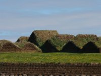 IS, Nordurland vestra, Akrahreppur, Glaumbaer 1, Saxifraga-Jan Nijendijk