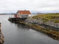 N, Nord-Trondelag, Flatanger, Lauvsnes 3, Saxifraga-Bart Vastenhouw