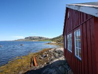 N, Nord-Trondelag, Flatanger, Lauvsnes 4, Saxifraga-Bart Vastenhouw