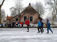 NL, Overijssel, Steenwijkerland, Dwarsgracht 2, Saxifraga-Foto Fitis-Sytske Dijksen