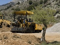 GR, Crete, Lasithi, Agios Georgios 3, Saxifraga-Jan van der Straaten