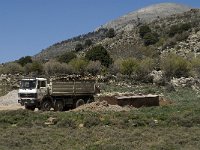 GR, Crete, Lasithi, Agios Georgios 5, Saxifraga-Jan van der Straaten