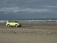 NL, Friesland, Terschelling, Boschplaat 10, Saxifraga-Jan van der Straaten