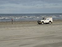 NL, Friesland, Terschelling, Boschplaat 28, Saxifraga-Jan van der Straaten