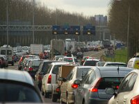 NL, Noord-Holland, Amsterdam,  A1 1, Saxifraga-Foto Fitis-Sytske Dijksen