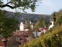 CZ, Praha, Praha 5, Saxifraga-Foto Fitis-Sytske Dijksen