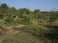 Nature in cities-Natuur in de stad