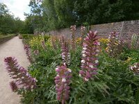 NL, Limburg, Maastricht 4, Saxifraga-Foto Fitis-Sytske Dijksen