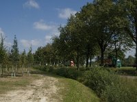 NL, Noord-Brabant, Tilburg, Udenhout N 65 2, Saxifraga-Jan van der Straaten