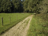 NL, Gelderland, Arnhem, Klarenbeek 14, Saxifraga-Marijke Verhagen