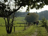 NL, Gelderland, Arnhem, Klarenbeek 17, Saxifraga-Marijke Verhagen