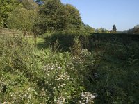 NL, Gelderland, Arnhem, Zijpendaal 12, Saxifraga-Jan van der Straaten