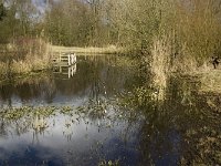 NL, Noord-Brabant, Eindhoven, Dommel and Tongelreep 17, Saxifraga-Marijke Verhagen