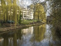 NL, Noord-Brabant, Eindhoven, Paradijslaan 1, Saxifraga-Marijke Verhagen