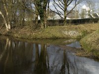 NL, Noord-Brabant, Eindhoven, Tongelreep near skating rink 11, Saxifraga-Jan van der Straaten