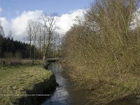 NL, Noord-Brabant, Eindhoven, Tongelreep near skating rink 5, Saxifraga-Jan van der Straaten