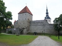 EST, Harjumaa, Tallinn 14, Saxifraga-Hans Boll