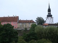 EST, Harjumaa, Tallinn 17, Saxifraga-Hans Boll